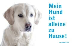 Neueste blutdrucktabelle zum ausdrucken wellsana. Kostenlose Notfallkarten Hunde Zum Ausdrucken Cardwork De