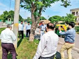 Best for small must for all. Checks Health Of Trees Three Member Forest Research Team Checks Health Of Trees In Panchkula Chandigarh News Times Of India
