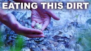 Check spelling or type a new query. Why Some People Eat Dirt White Kaolin Clay Youtube