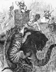 10+ Black And White Illustration Of ...