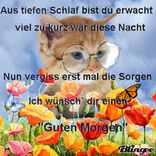 Wähle einfach das gewünschte bild aus der kategorie guten morgen lustig gif und klicke auf einen der darunter angezeigten codes. Guten Morgen Guten Morgen Lustig Sms Humor Guten Morgen