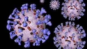12.834 neuinfektionen und 252 todesfälle. 170 Neue Corona Falle In Hamburg Ndr De Nachrichten Hamburg Coronavirus