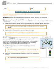 Gizmo answer key + my pdf human karyotyping gizmo : Human Karyotyping Gizmo Pdf Name Date Student Exploration Human Karyotyping Directions Follow The Instructions To Go Through The Simulation Respond To Course Hero