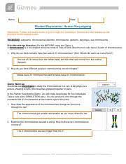 Sort and pair the images of human chromosomes obtained in a scan. Human Karyotyping Gizmo Pdf Name Date Student Exploration Human Karyotyping Directions Follow The Instructions To Go Through The Simulation Respond To Course Hero