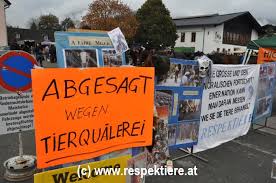 Definition, rechtschreibung, synonyme und grammatik von 'versteigerung' auf duden online nachschlagen. Pferdeversteigerung Maishofen Unfassbar Beschlagnahme Des Respektiere Demomaterials