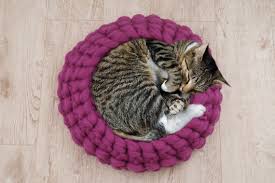 In the reading i've done, beginners found it takes much. Chunky Cat House Chunky Cat Bed Personalized Cat Bed Pet Etsy Cat Bed Dog Bed Cat House