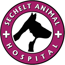 We did not find results for: Sechelt Animal Hospital Home Facebook