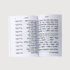 הסיור מסתיים במעמד הסליחות ברחבת הכותל. ×¡×œ×™×—×•×ª Ohr Hashalom