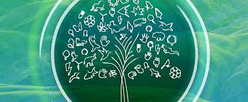 En estos link podrán descargar una hermosa lotería del medio ambiente marino, espero puedan jugar con los peques de la casa y aprovechar el tiempo para aprender. Everything You Need To Know About World Environment Day Latinamerican Post