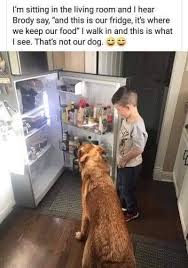 House Tour Know Your Meme