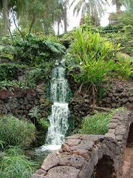 Parque Taoro Ein Wassergarten Auf Der Insel Teneriffa Teneriffa Teneriffa Urlaub Teneriffa Strande