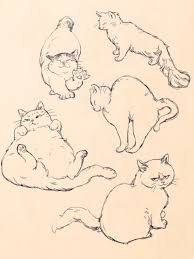 Pin By Efsane Element Youtube On Cat Drawing Animal Drawings Cat Art Cat Drawing