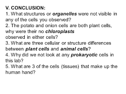 Maybe you would like to learn more about one of these? Lab Comparing Plant And Animal Cells Ppt Video Online Download