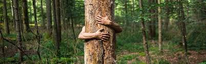 The chipko movement of 1973 was one of the most famous among these. Chipko Movement Essay Important Notes Studiousguy