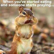 We did not find results for: 11 Hilarious Thanksgiving Memes That Ll Make Your Day