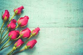 Bunga mawar gif gambar animasi animasi bergerak 100 gratis. Bunga Mawar Pink Kuncup Segar Kayu Cantik Musim Semi Wallpaper Hd Wallpaperbetter