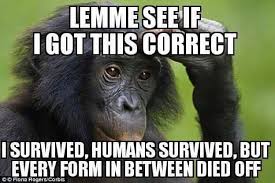 In his theory of evolution, Charles Darwin states that Human beings evolved  from Apes and Apes evolved from Fish! Question, How many Fish become Apes  and how many Apes become human beings
