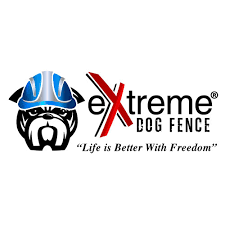 Maybe you would like to learn more about one of these? Two Pack Dog Fence Batteries For Invisible Fence Brand Receiver Collars By Perimeter Technologies Walmart Com Walmart Com