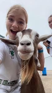 Celebrating 5 Years of Sobriety