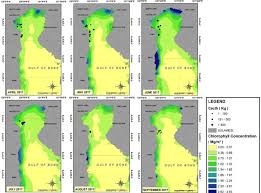Yg berkenan untuk melaksanakan puasa tengah bulan (shaum ayyamul bidh) 13. Horizontal Profiles Of Sea Surface Chlorophyll A Overlain With Download Scientific Diagram