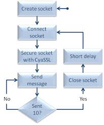 Project Using Wolfssl With Freertos