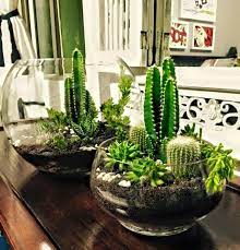 También es conveniente que tengas en cuenta el. Ideas En Un 2 X 3 Como Hacer Un Terrario En Una Pecera