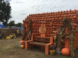 Top 10 Dfw Pumpkin Patches Tanglewood Moms
