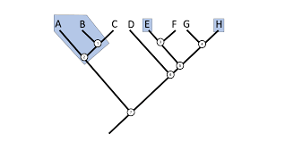 2 4 Phylogenetic Trees And Classification Digital Atlas Of Ancient Life