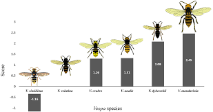 Below is a list of the collective nouns for animals. Interspecific Hierarchies From Aggressiveness And Body Size Among The Invasive Alien Hornet Vespa Velutina Nigrithorax And Five Native Hornets In South Korea