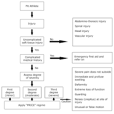 Appendix B Guidelines For Price Other Injuries