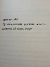 Kitap. Sadece kitap.