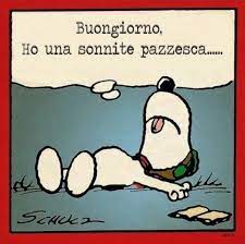 Buongiorno Divertente Snoopy 10 Buongiorno Immagini It Buongiorno Divertente Citazioni Snoopy Buongiorno
