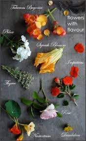 Edible Flowers You Can Forage Edible Flowers Edible Flowers Recipes Flower Food