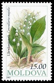 Lily Of The Valley Wikipedia The Free Encyclopedia Lily Of The Valley Stamp Postage Stamp Art