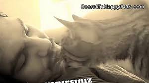 Neden Kedim Sacimi Isiriyor Tr Secrettohappypets Com