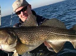 Genitive , singular dorsches | genitive , singular dorschs | nominative , plural dorsche. Ostsee Dorsch Angler Matthias Meinsen Und Die Wut Auf Den Mull