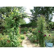 Vine Arch Deep Steel Garden Arch Garden Arches Garden Arch Outdoor Gardens