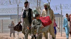 Russia has not yet recognised taliban as legitimate rulers of afghanistan, kremlin says. Tj1qpa6jlqefpm