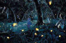 This actually my first time visit to this area and before this i just know the main attraction is bukit melawati & kampung kuantan to watch kelip kelip (firefly). Tempat Menarik Di Selangor Untuk Dilawati Tempat