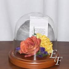 Check spelling or type a new query. 5 5 X 5 5 Dome With Single Flower Ef 1000 Essex Florist Greenhouses Inc