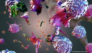 Blue cross blue shield association is a national federation. What Cancers Can Be Treated With Immunotherapy Md Anderson Cancer Center