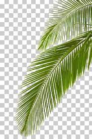 Pin By Chupaalperro On Leaf Clipart In 2020 Leaf Clipart Leaves Beautiful Gif