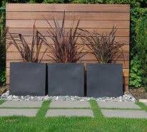 Den Sichtschutzzaun Verschonern Oder Neu Gestalten Moderne Landschaftsgestaltung Moderne Gartenentwurfe Gartengestaltung