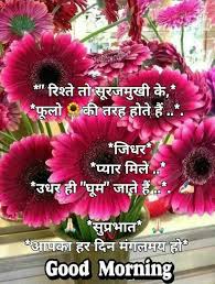 Choose the best good morning images with quotes in hindi to send your loved ones. Good Morning Flowers Quotes In Hindi Hutomo