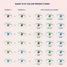 The Genetics Of Eye Color Stock Vector Illustration Of