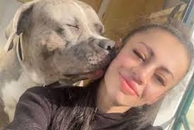 Police shot 'dangerously out of control' dog four times as pet died in  Sheffield street, a court has heard 👇