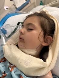 Fundraiser by Danielle Goulet : Help Bristol's Journey to Recovery