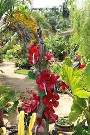 s(ə)laŋo(r)), also known by its arabic honorific darul ehsan, or abode of sincerity, is one of the 13 states of malaysia. Kampung Orang Asli Bukit Kepong Near Pasir Panjang Port Dickson