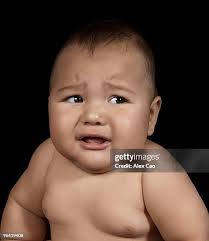 412 Alex Stout Stock Photos, High-Res Pictures, and Images