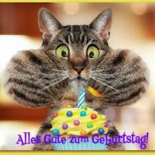 Du bist das beste, was der heutige tag zu bieten hat. Lustige Tiere Bilder Auf Memesbams Com Besten Witzige Tierbilder